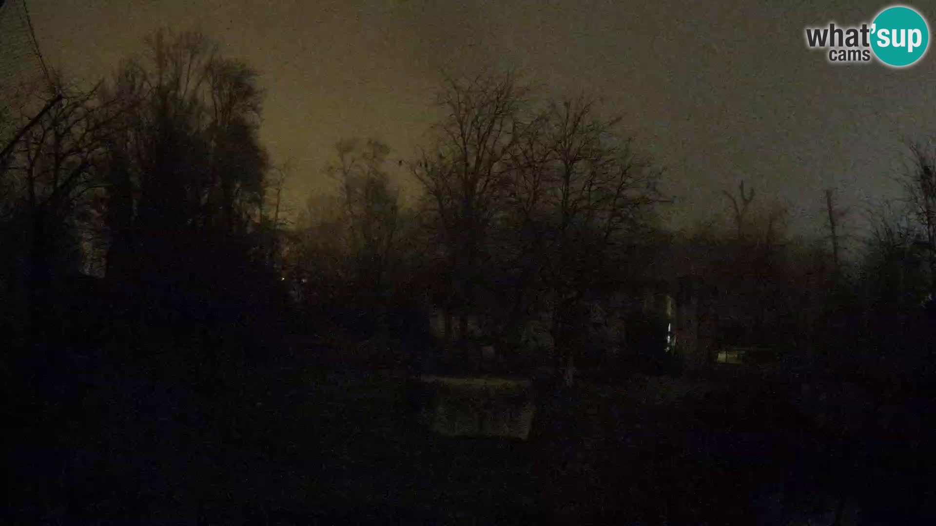 Spletna kamera Zoo Zagreb – Levi