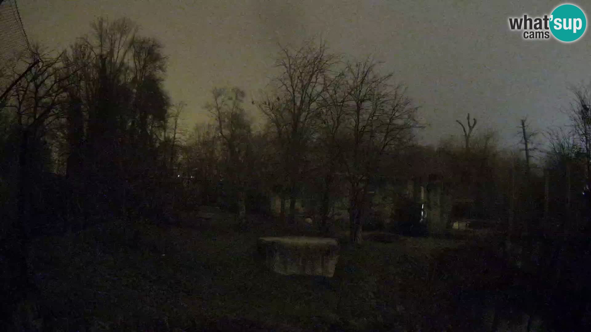 Zoo Zagreb – Leones