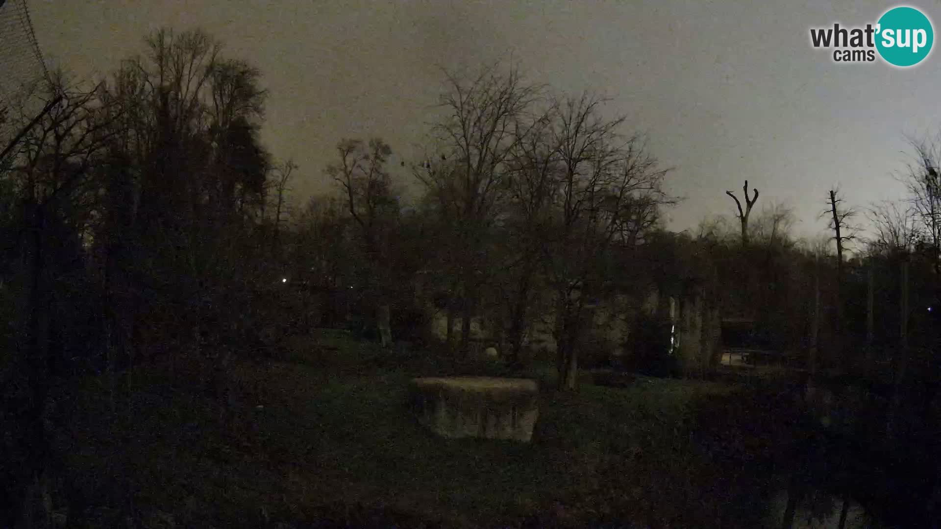 Zoo Zagreb – Leoni