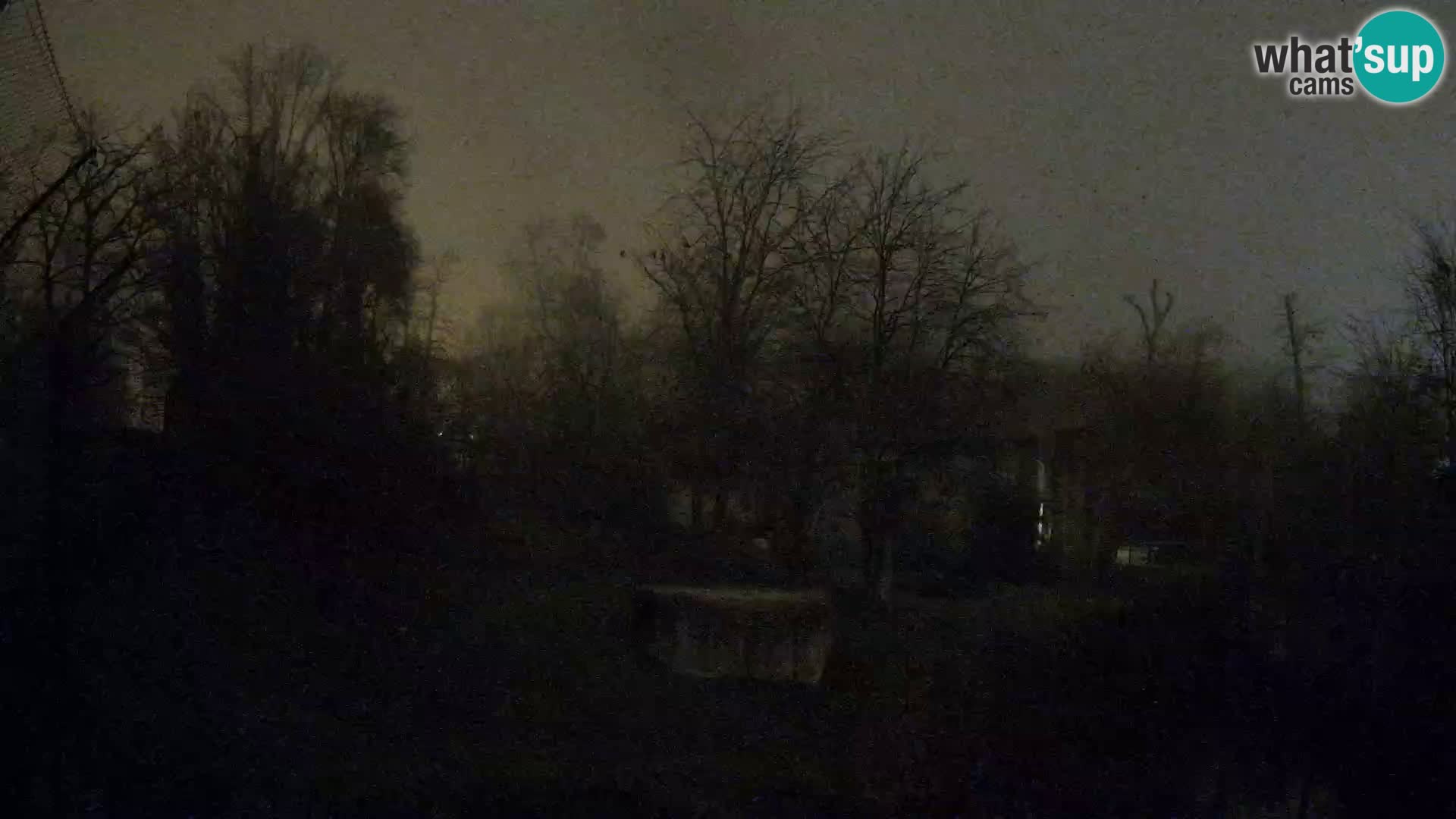 Zoo Zagreb – Leoni