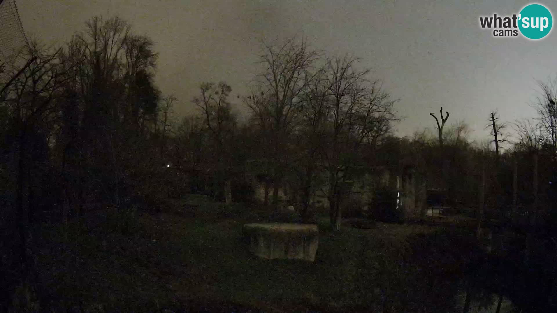 Zoo Zagreb – Löwen