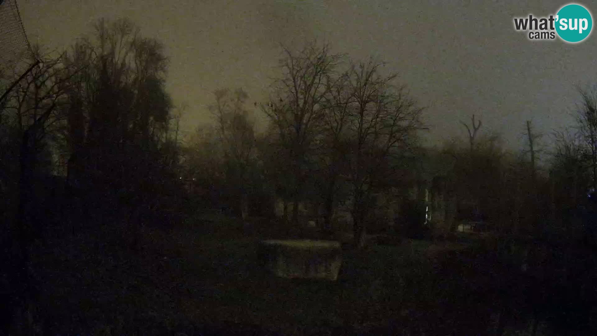 Zoo Zagreb – Leoni