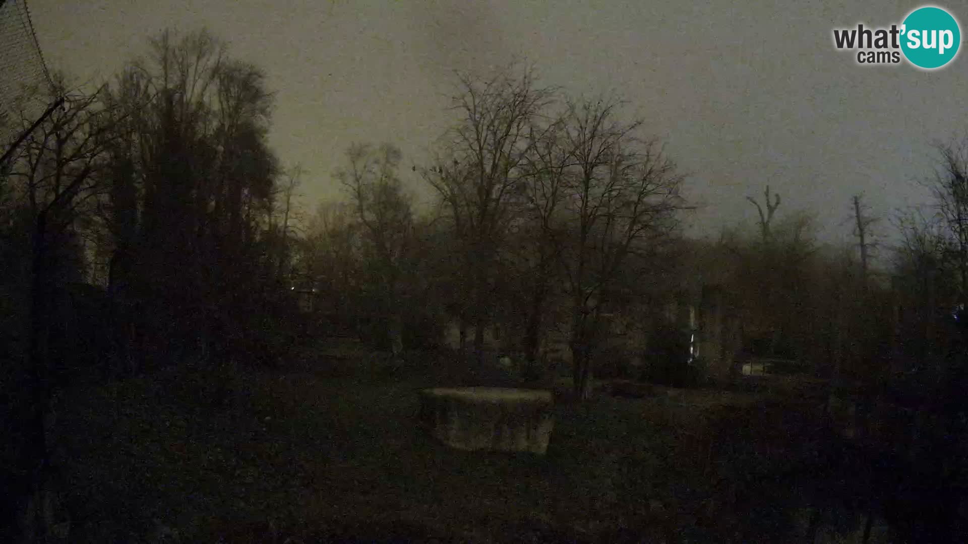 Zoo Zagreb – Leoni