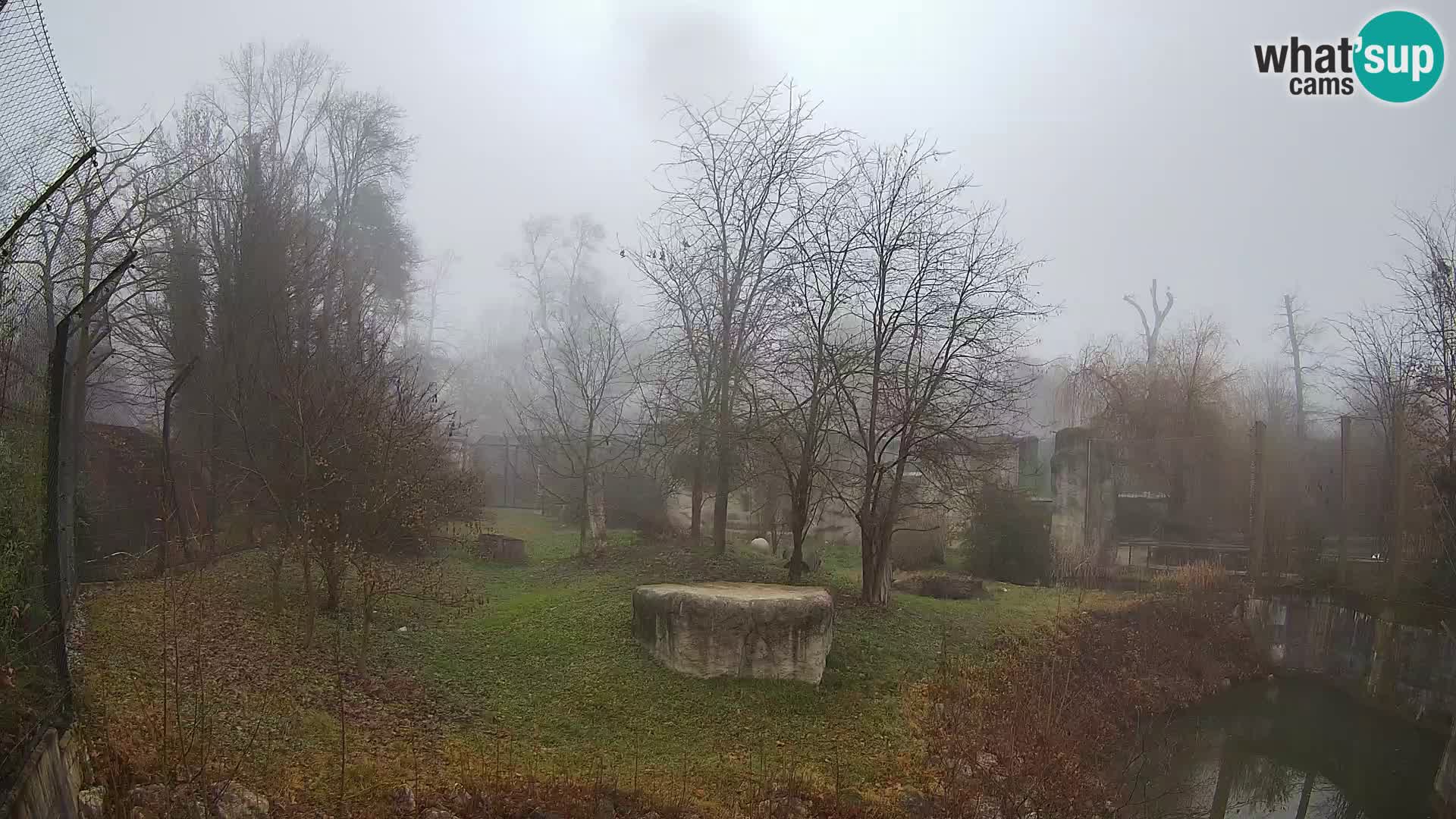 Zoo Zagreb – Lavovi