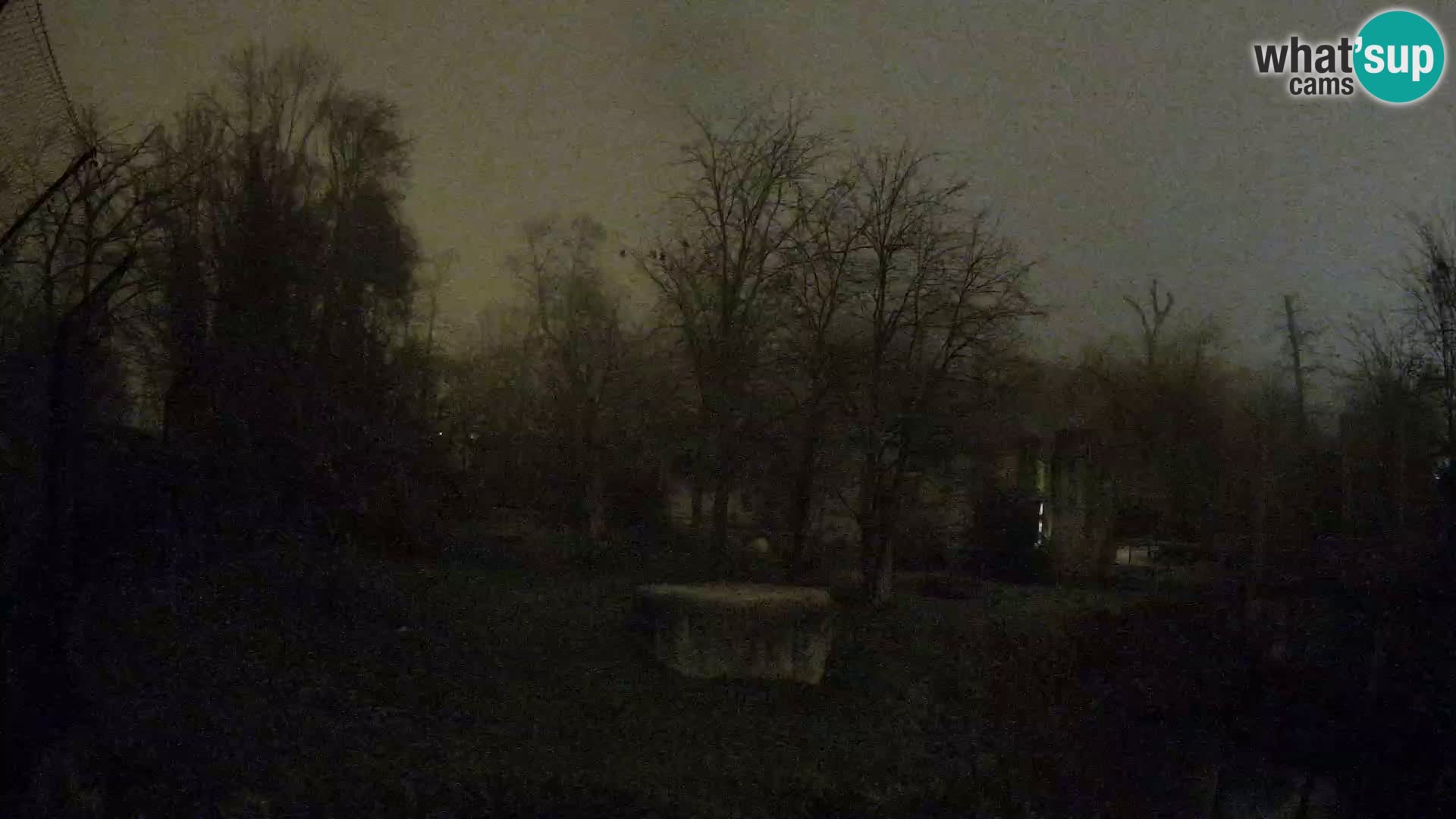 Zoo Zagreb – Löwen