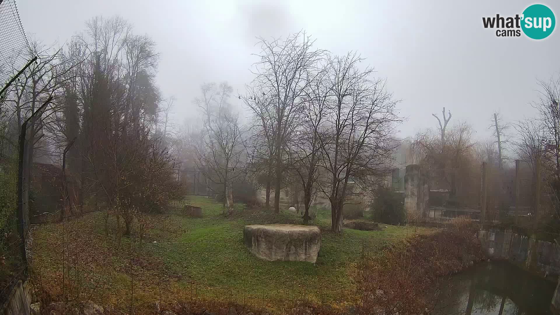 Zoo Zagreb – Leoni