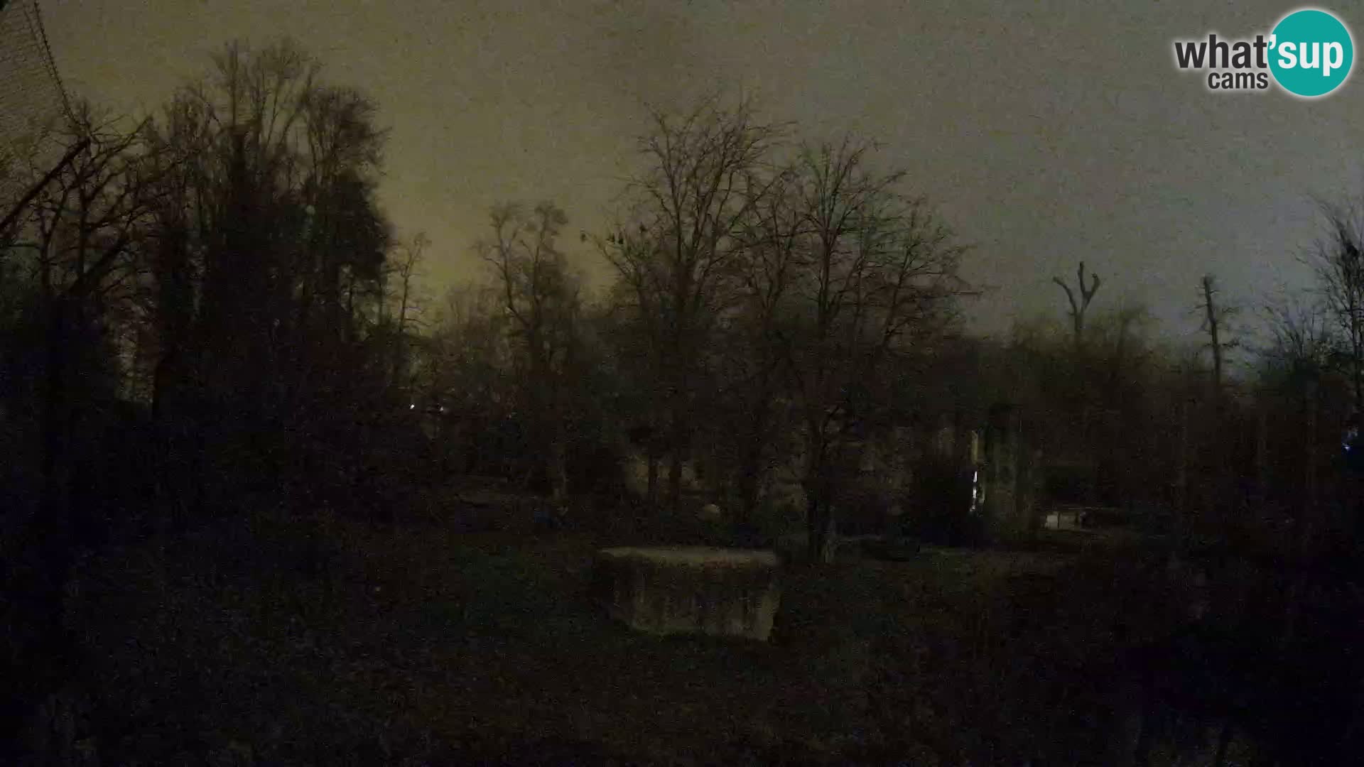 Spletna kamera Zoo Zagreb – Levi