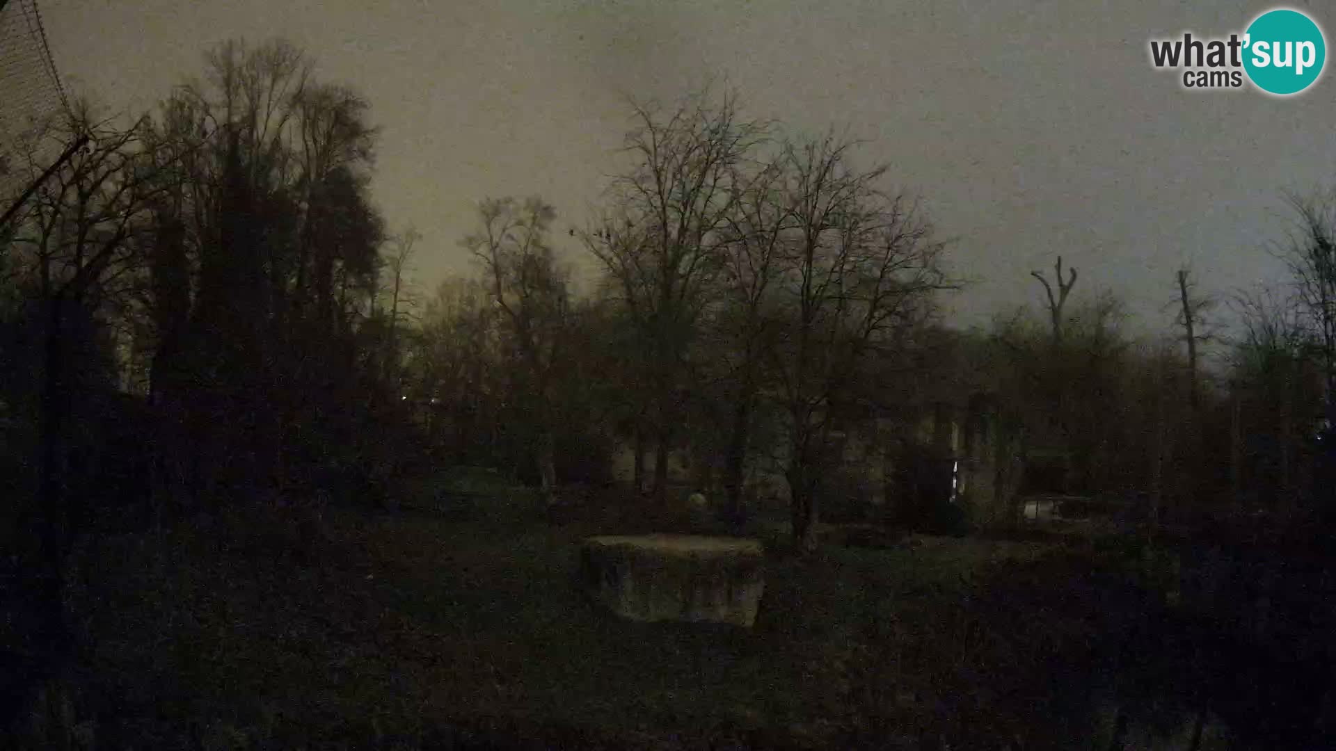 Zoo Zagreb – Löwen