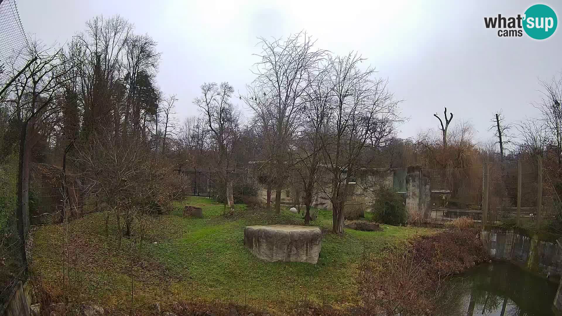 Zoo Zagreb – Leones