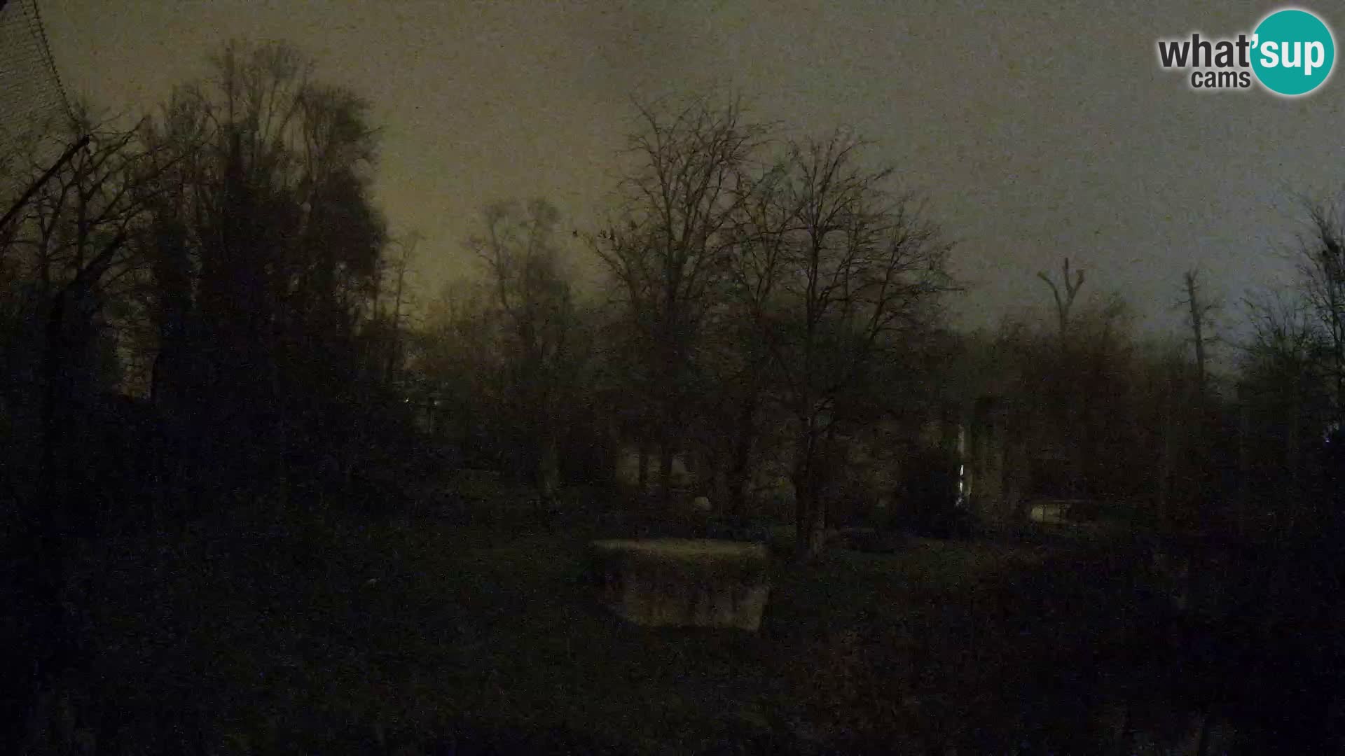 Spletna kamera Zoo Zagreb – Levi