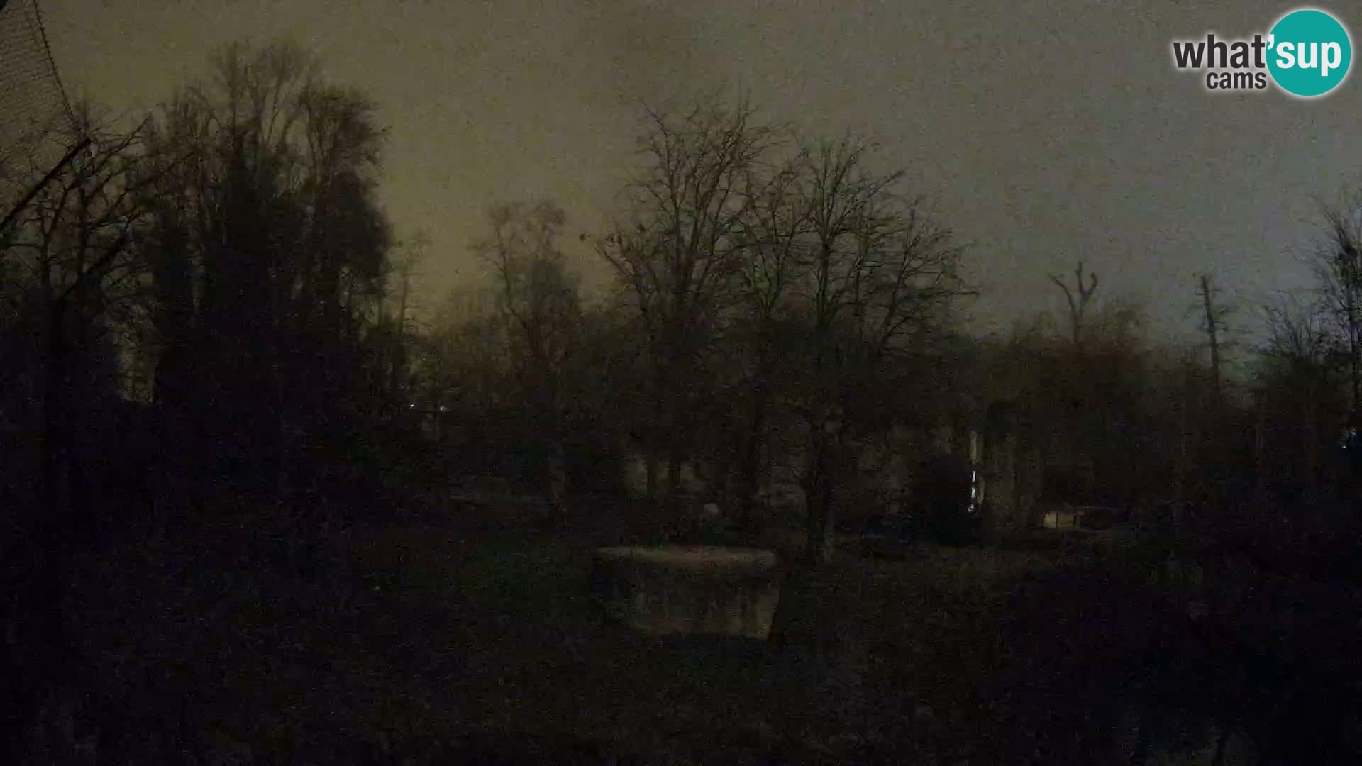 Spletna kamera Zoo Zagreb – Levi