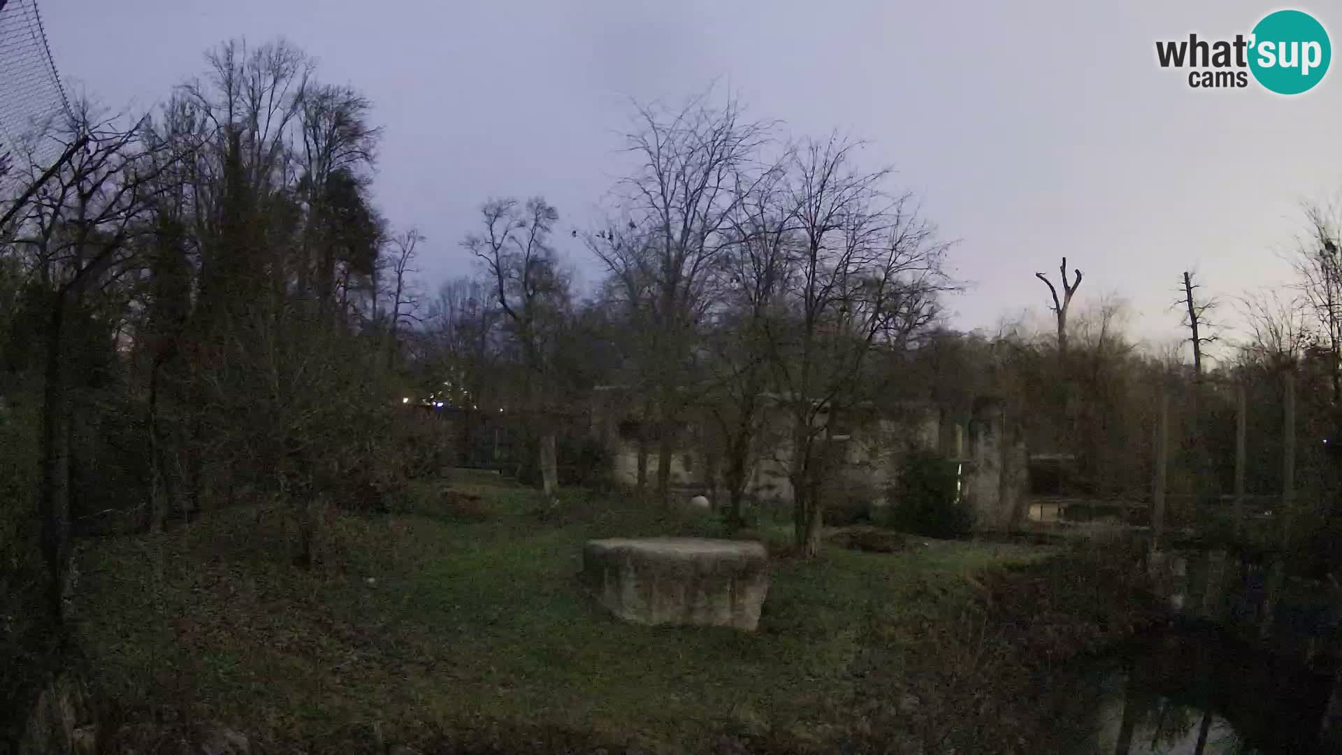 Zoo Zagreb – Leoni