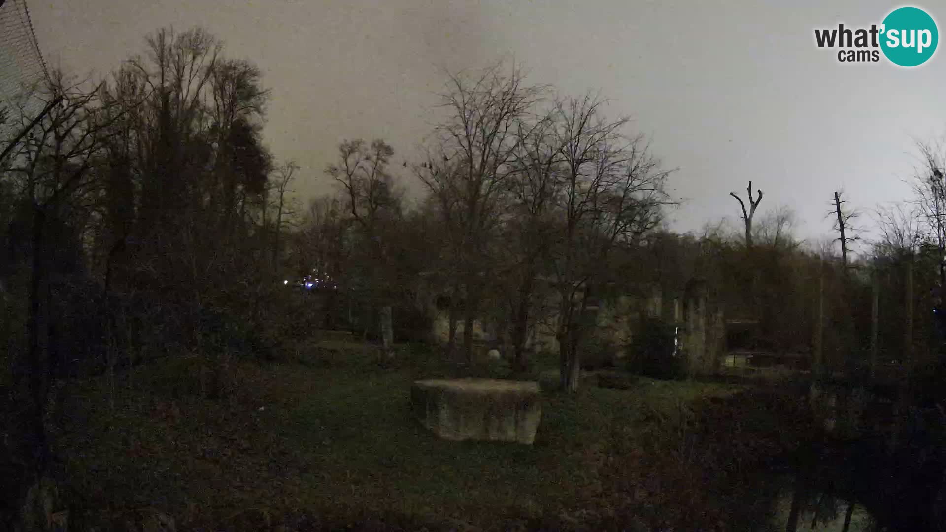 Zoo Zagreb – Leoni