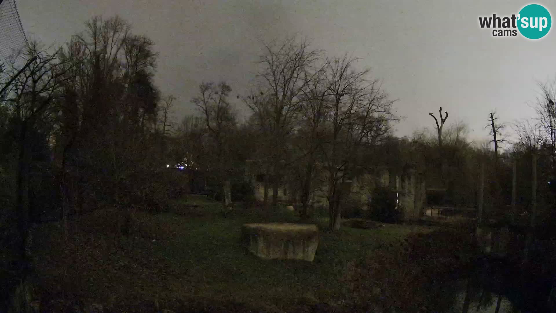 Zoo Zagreb – Leoni