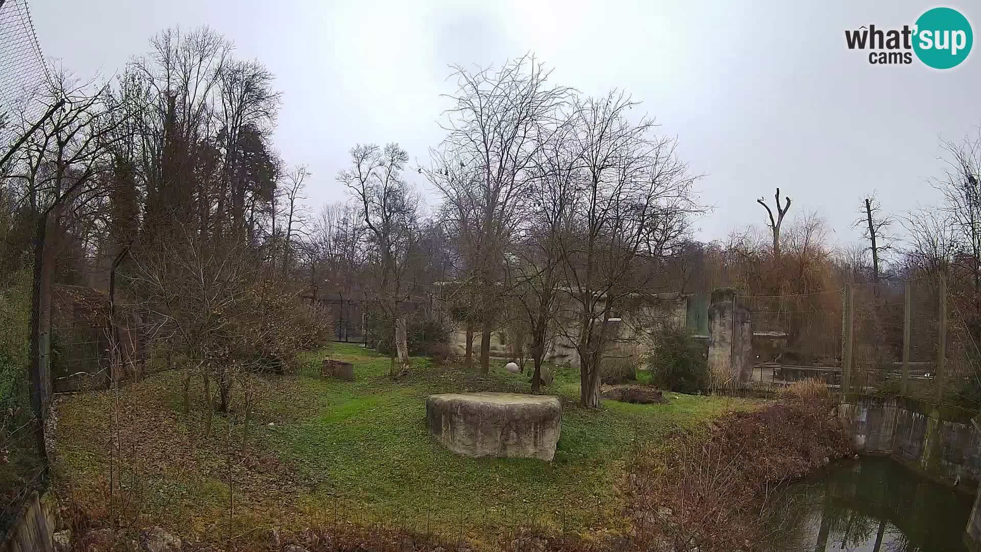 Zoo Zagreb – Löwen