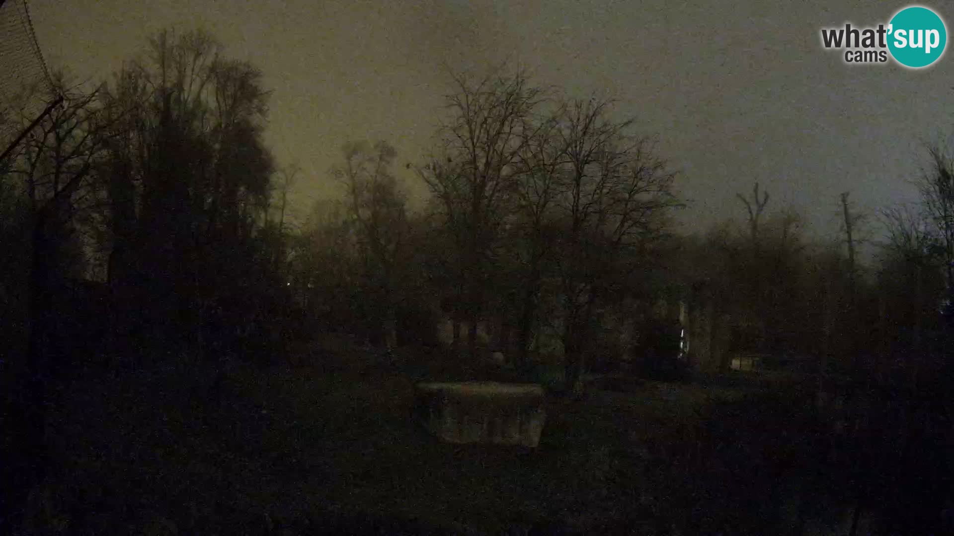 Spletna kamera Zoo Zagreb – Levi