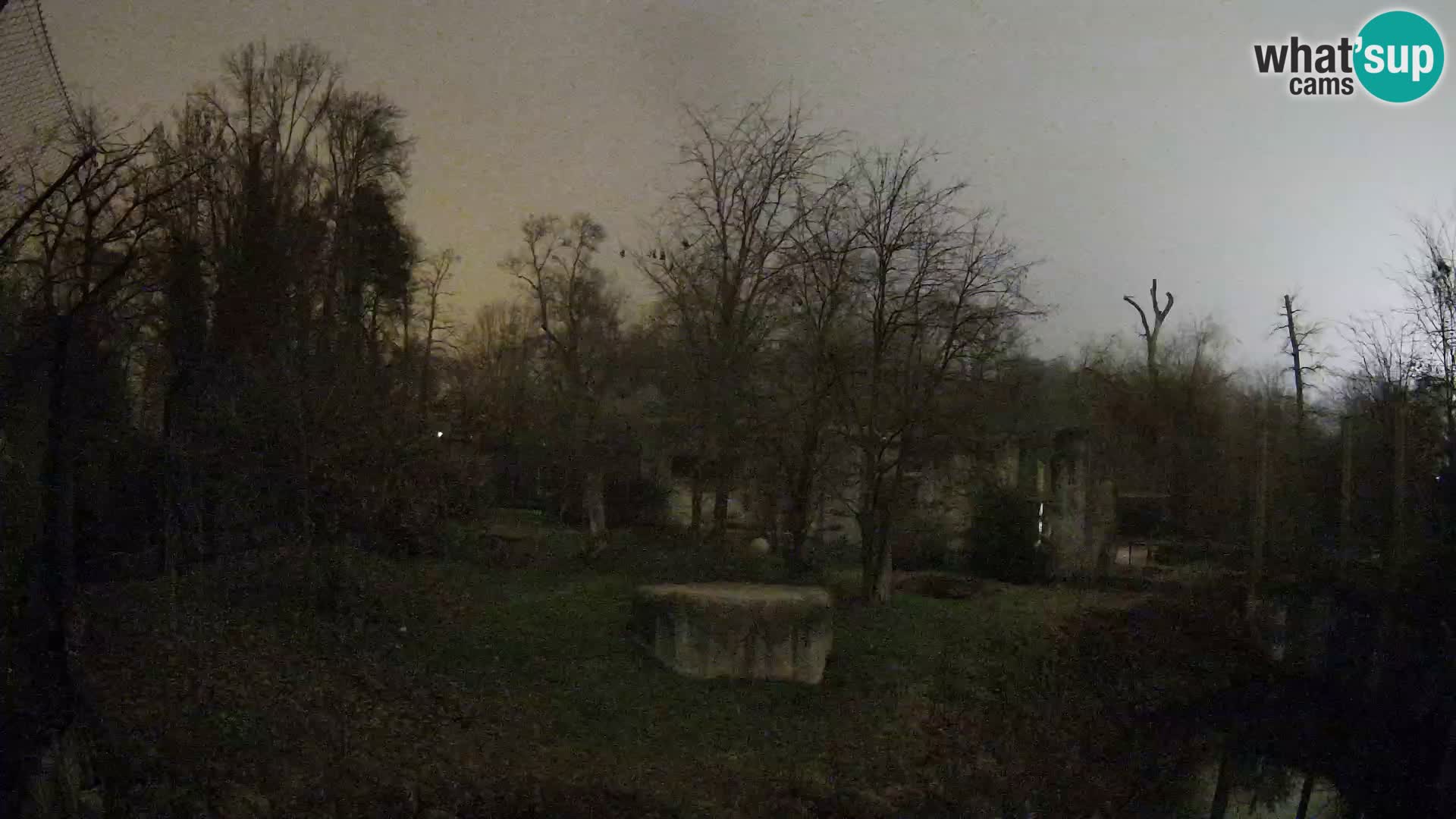 Zoo Zagreb – Löwen