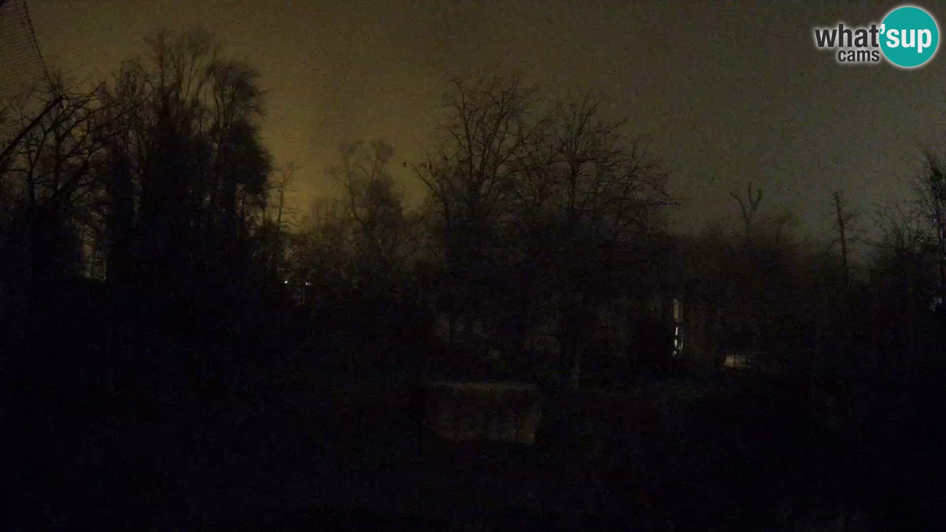 Spletna kamera Zoo Zagreb – Levi