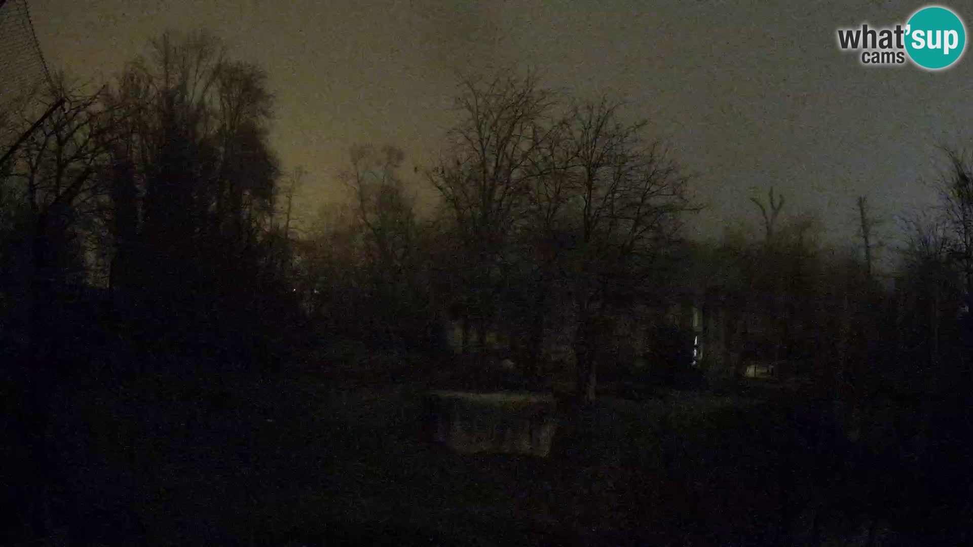 Zoo Zagreb – Leoni