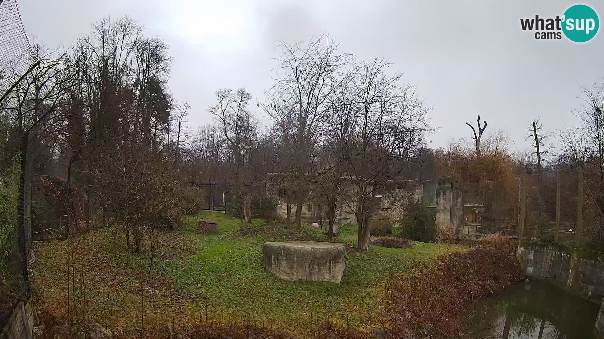 Zoo Zagreb – Löwen