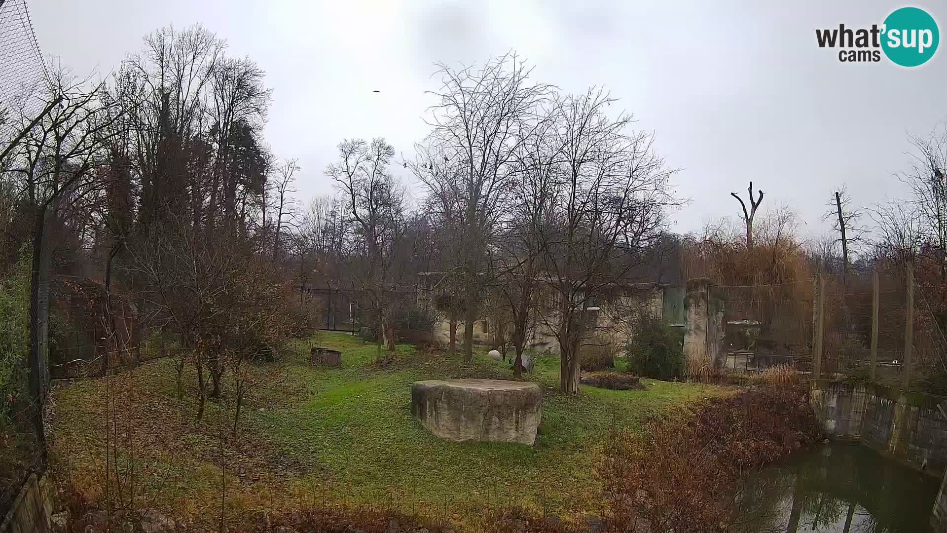 Zoo Zagreb – Leoni