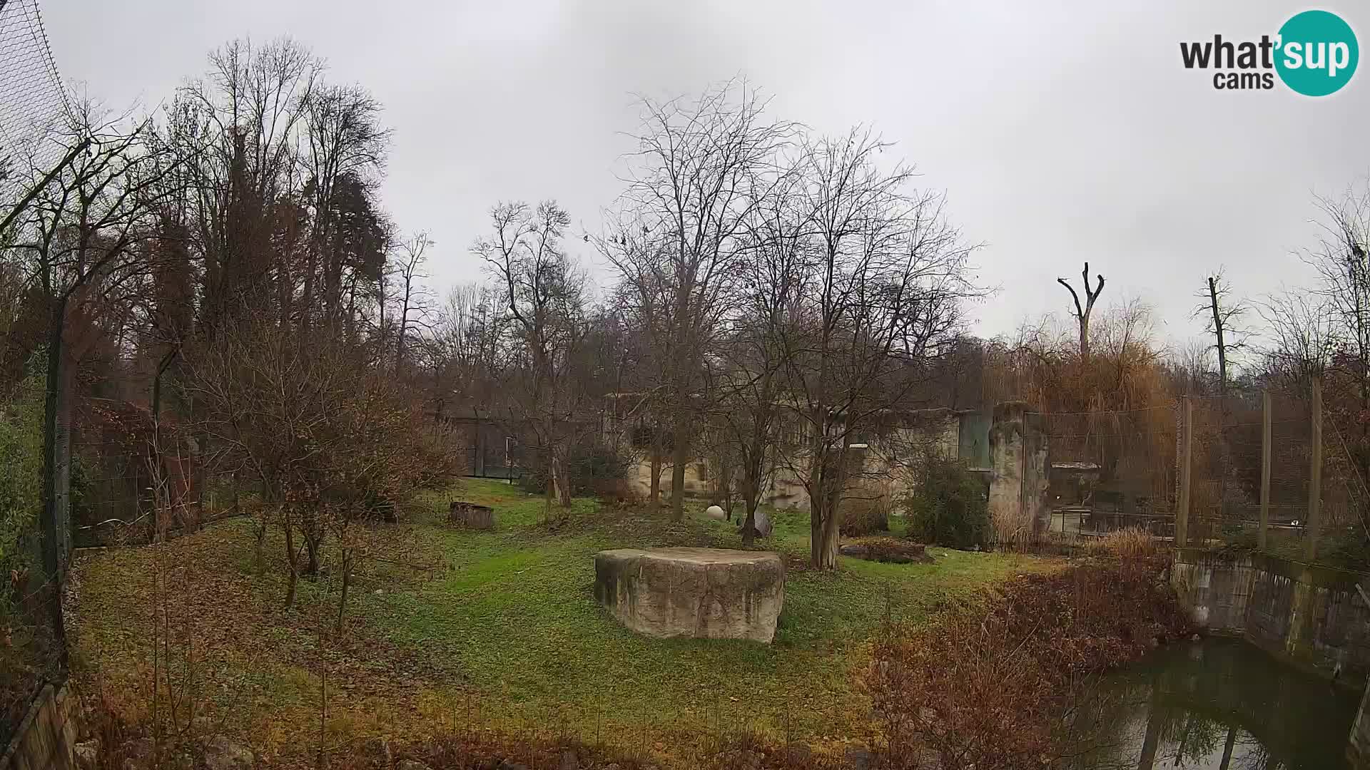 Zoo Zagreb – Löwen