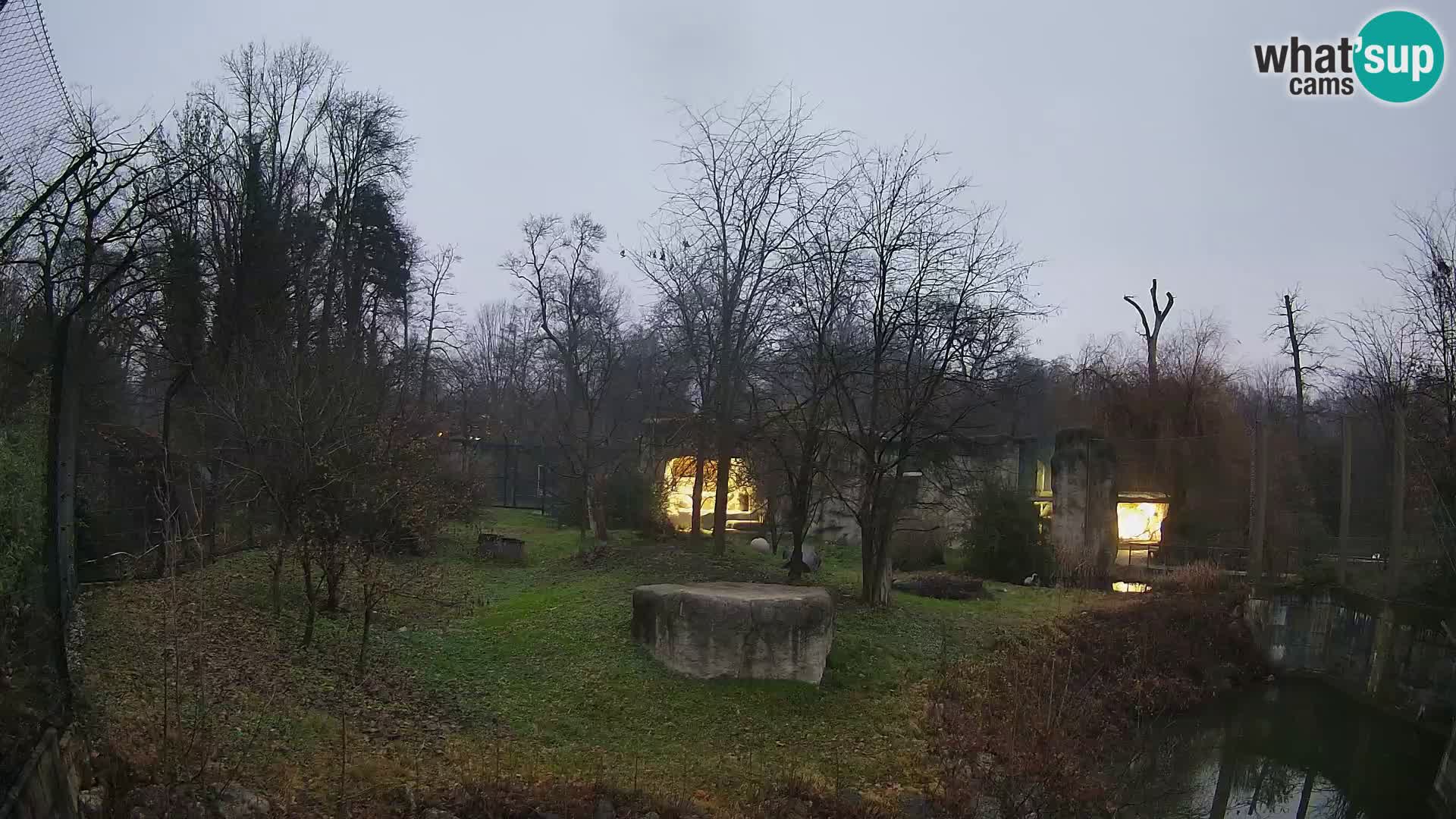 Zoo Zagreb – Löwen