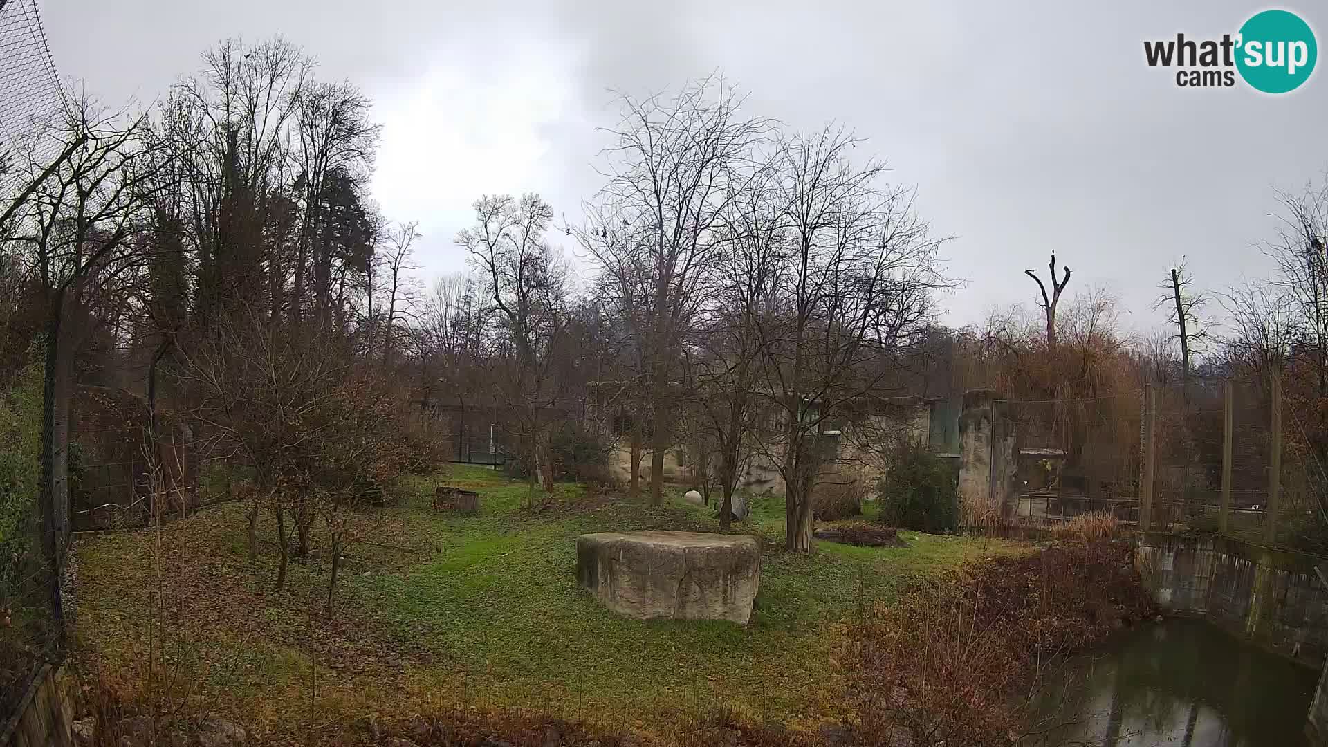 Zoo Zagreb – Leoni