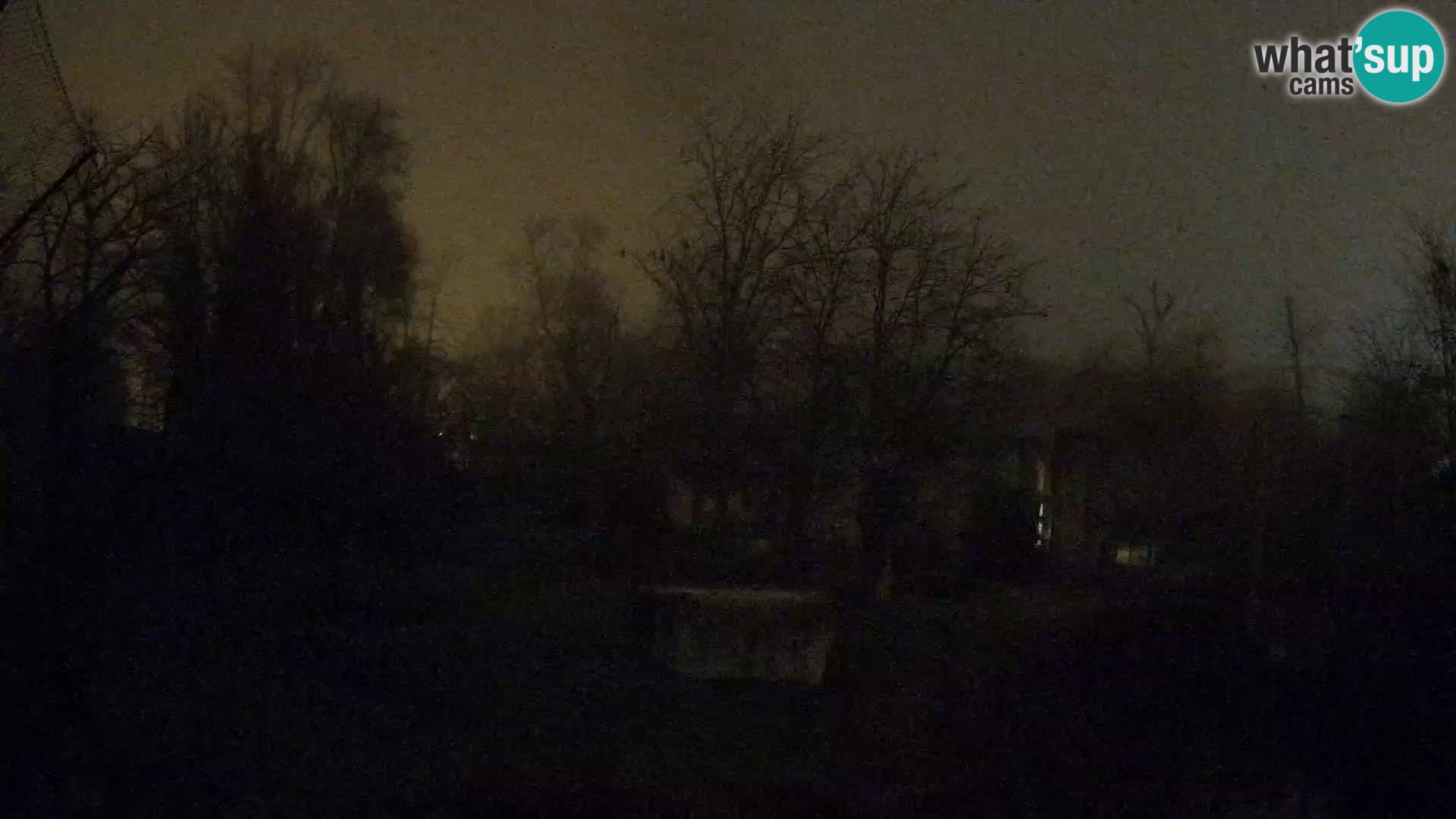 Zoo Zagreb – Löwen