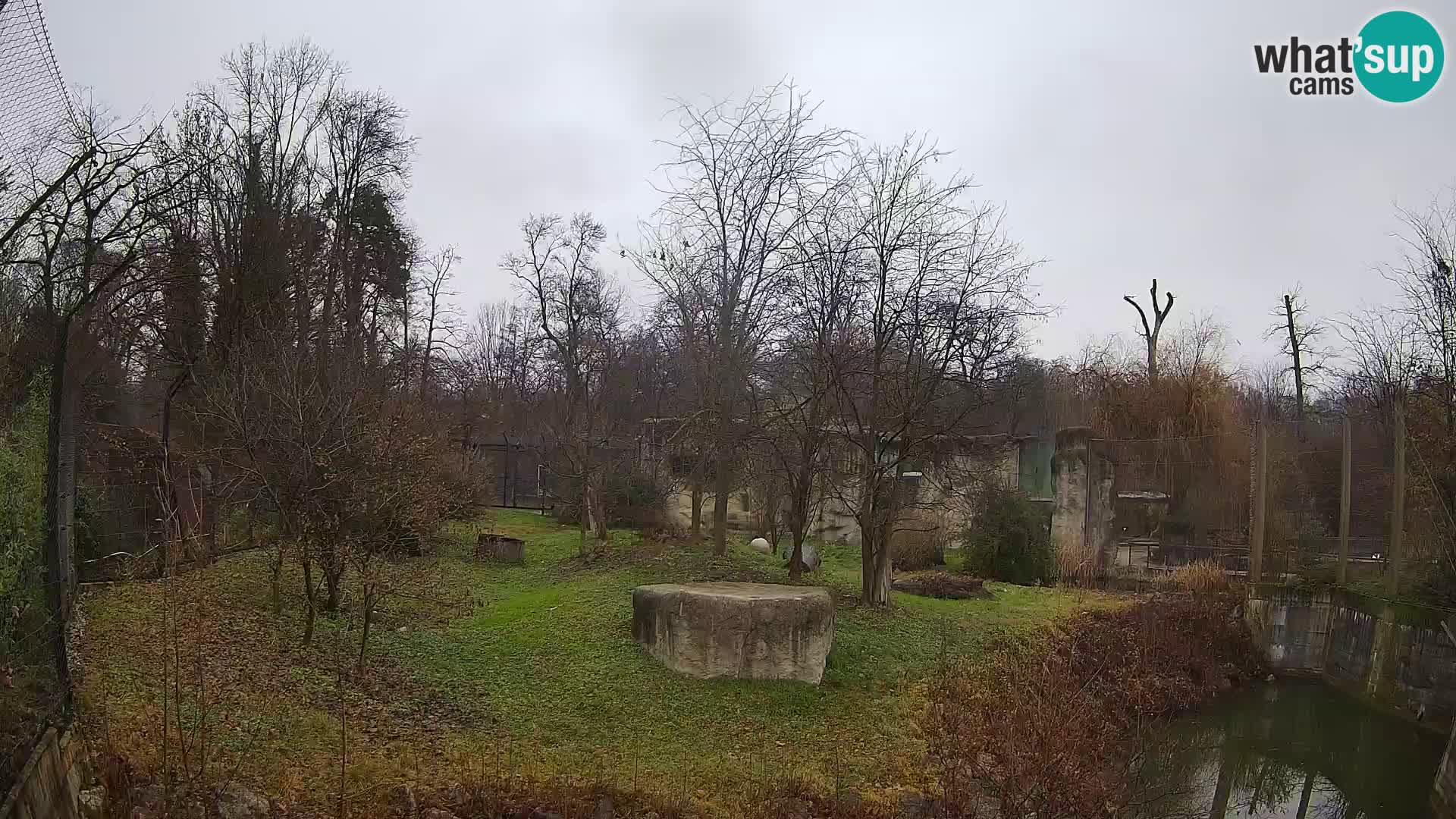 Zoo Zagreb – Löwen