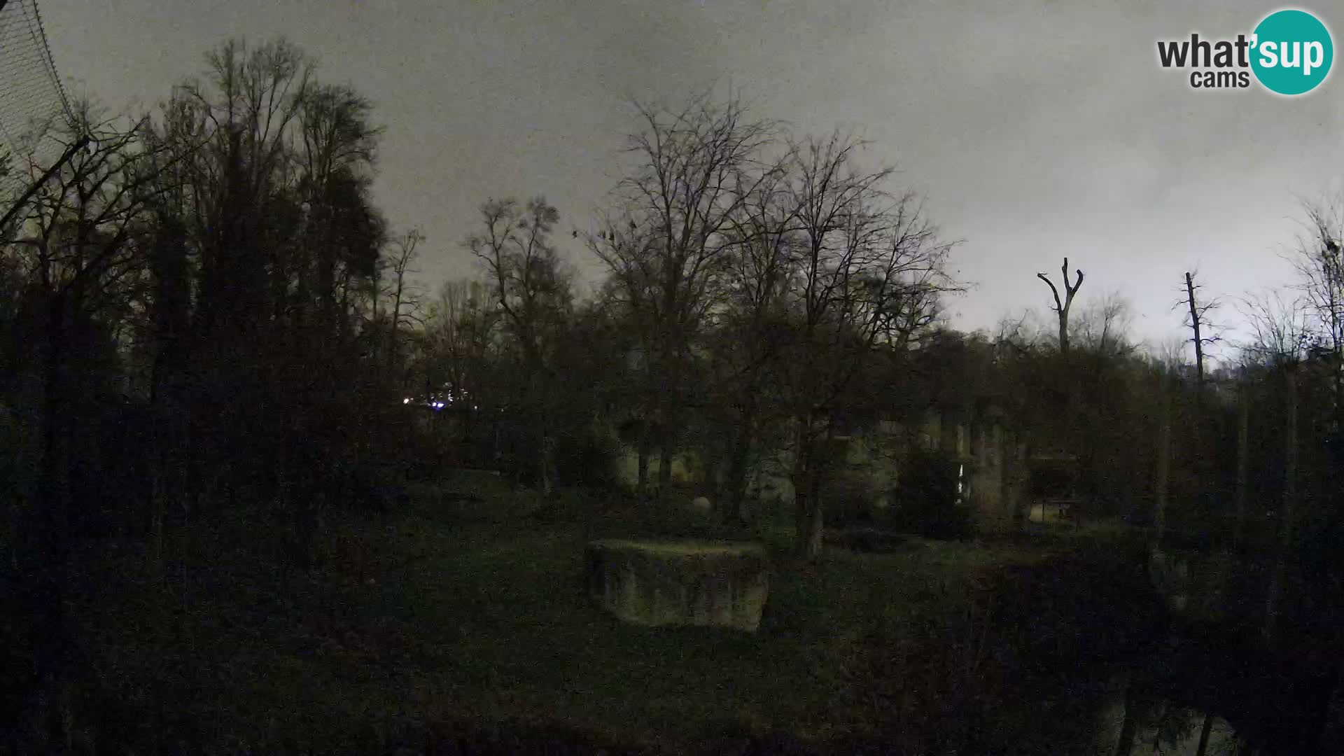 Zoo Zagreb – Löwen