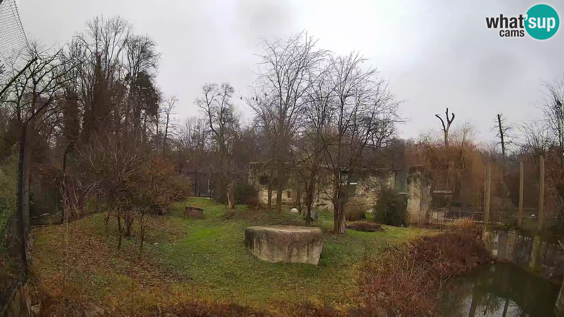 Zoo Zagreb – Löwen