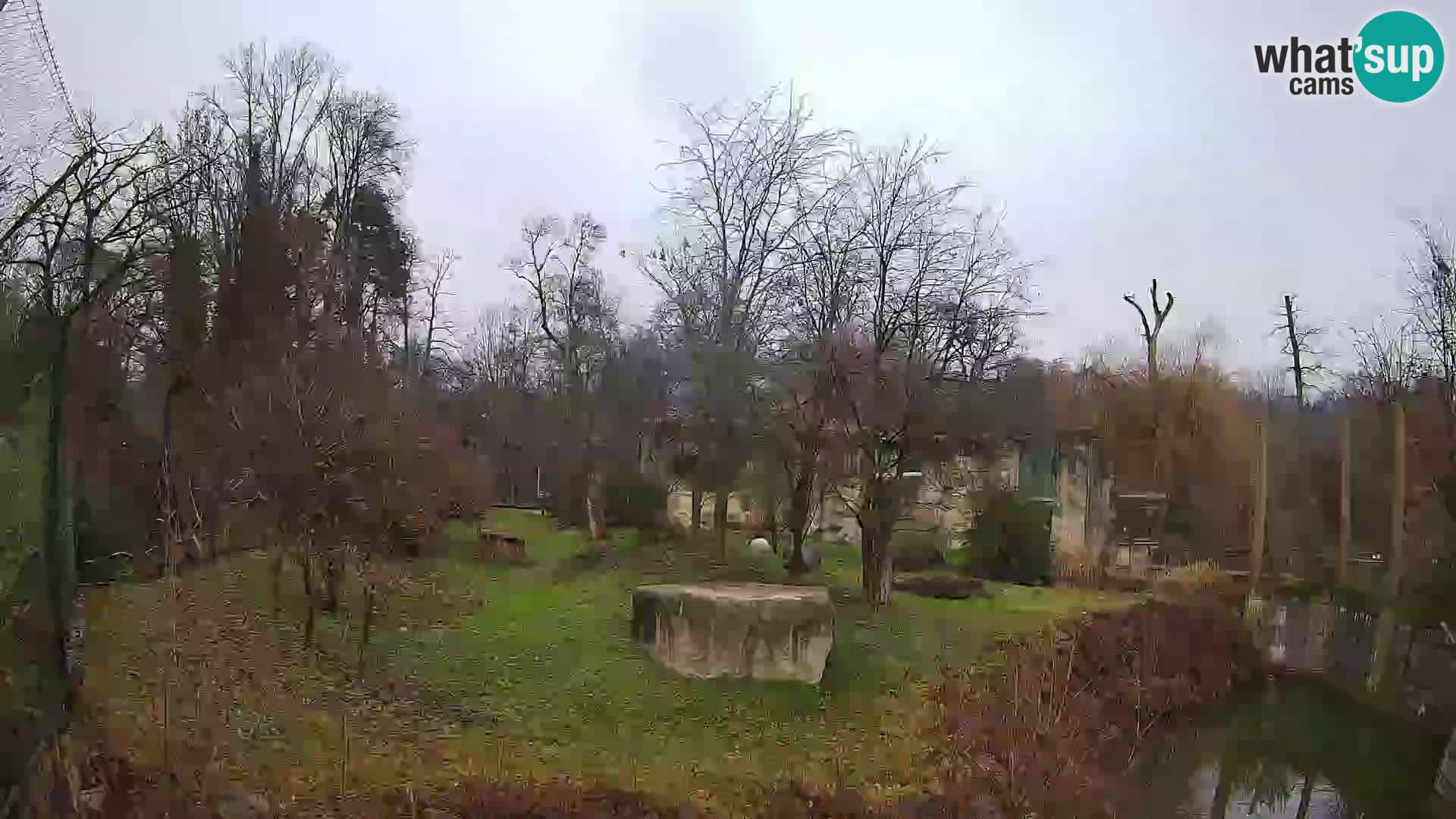 Zoo Zagreb – Leoni