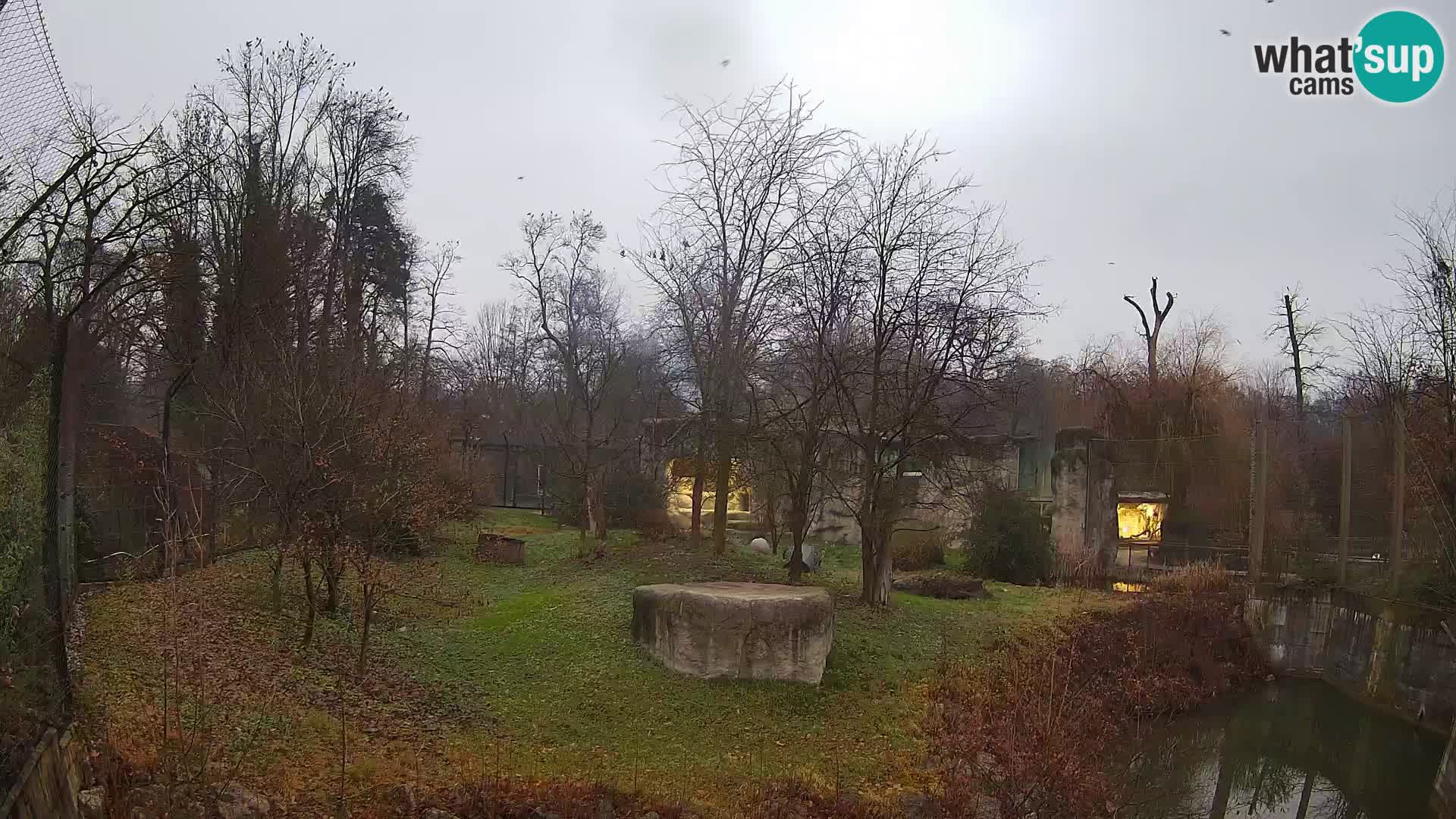 Zoo Zagreb – Leoni