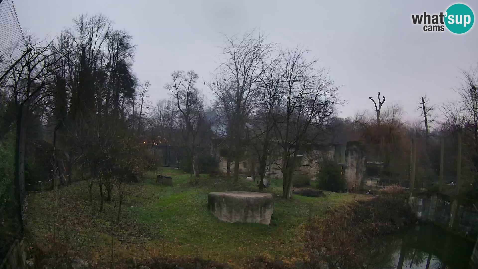 Zoo Zagreb – Löwen