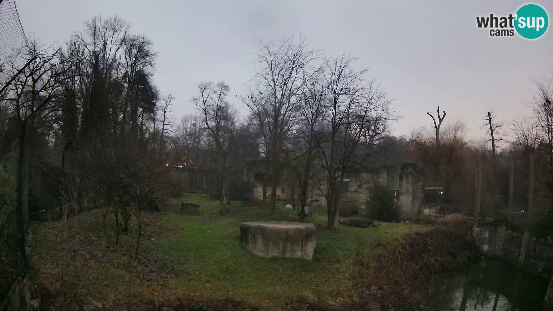 Zoo Zagreb – Leones