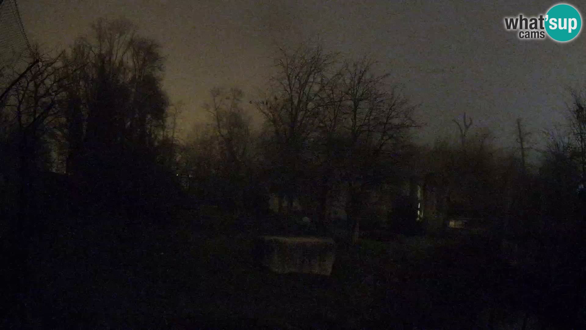 Zoo Zagreb – Leones