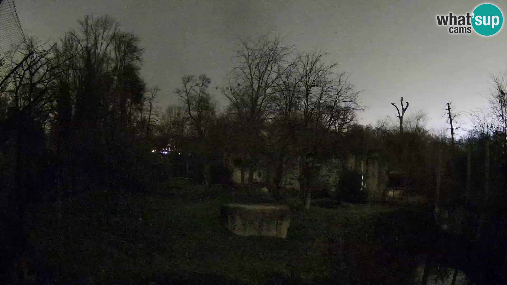 Zoo Zagreb – Lavovi