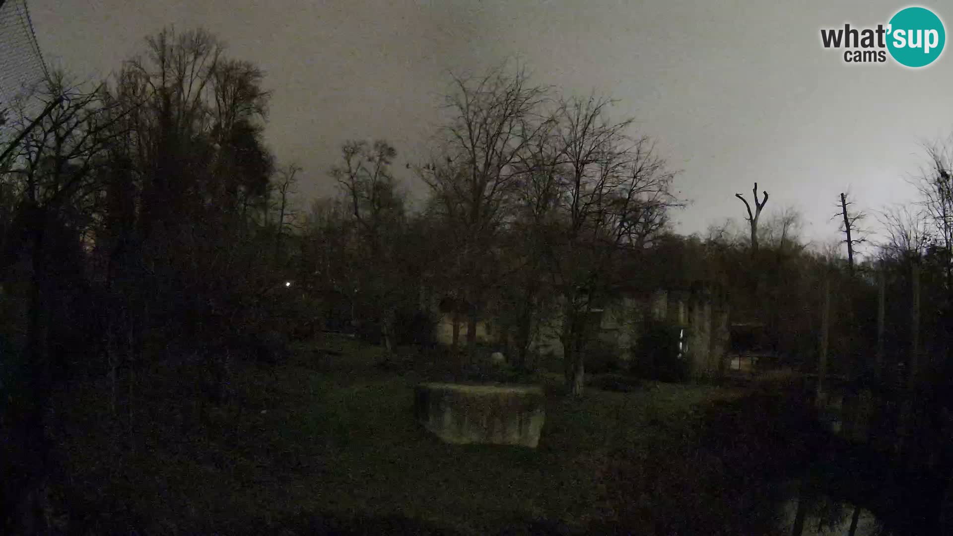 Zoo Zagreb – Löwen