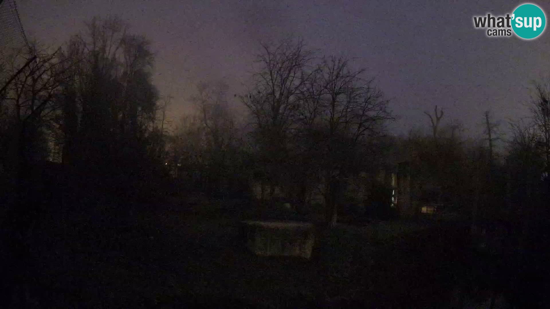 Zoo Zagreb – Lavovi