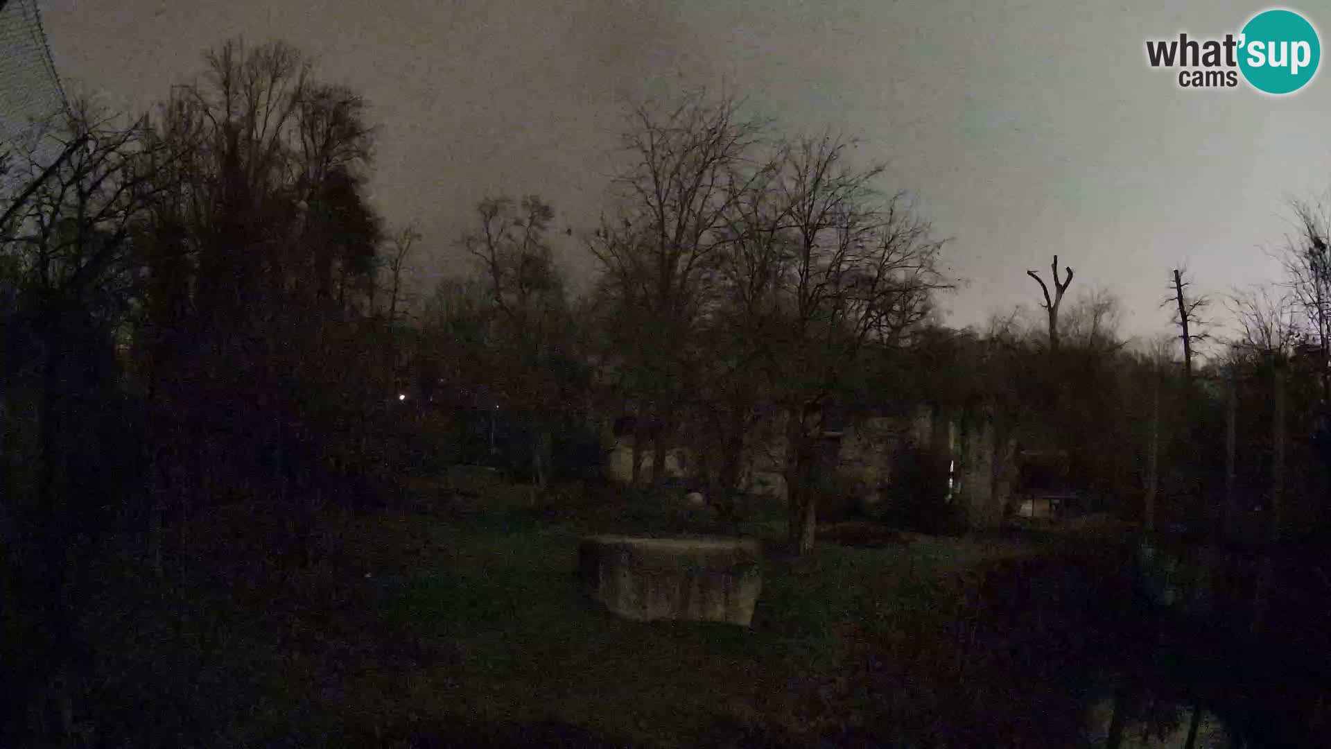 Zoo Zagreb – Löwen