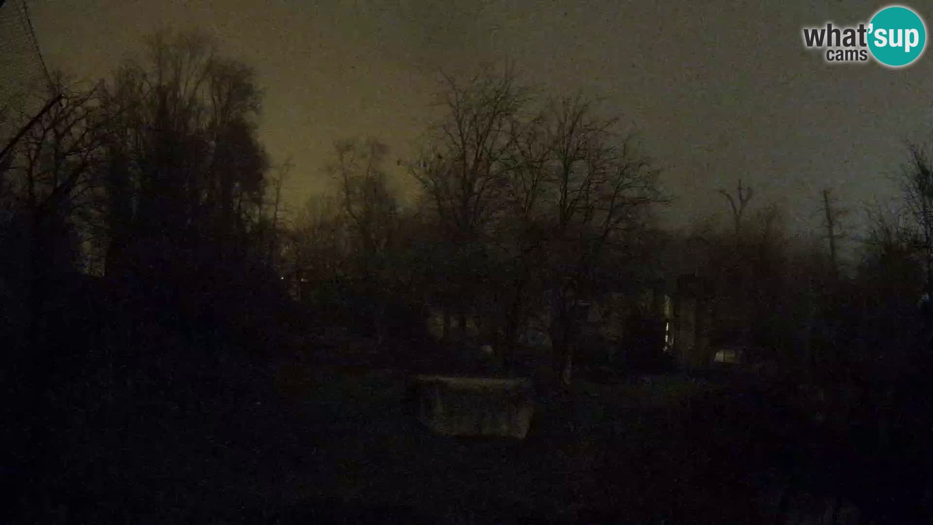 Zoo Zagreb – Lavovi