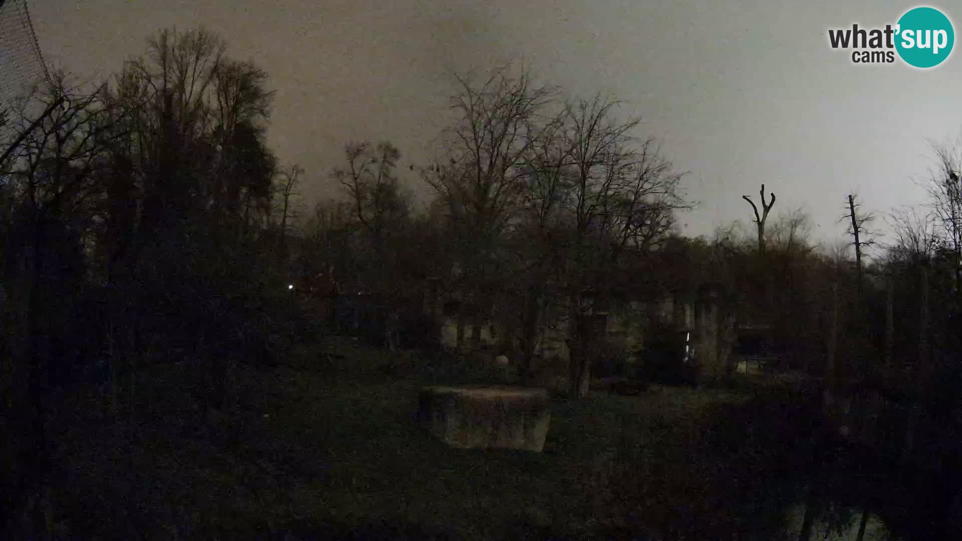 Zoo Zagreb – Leones