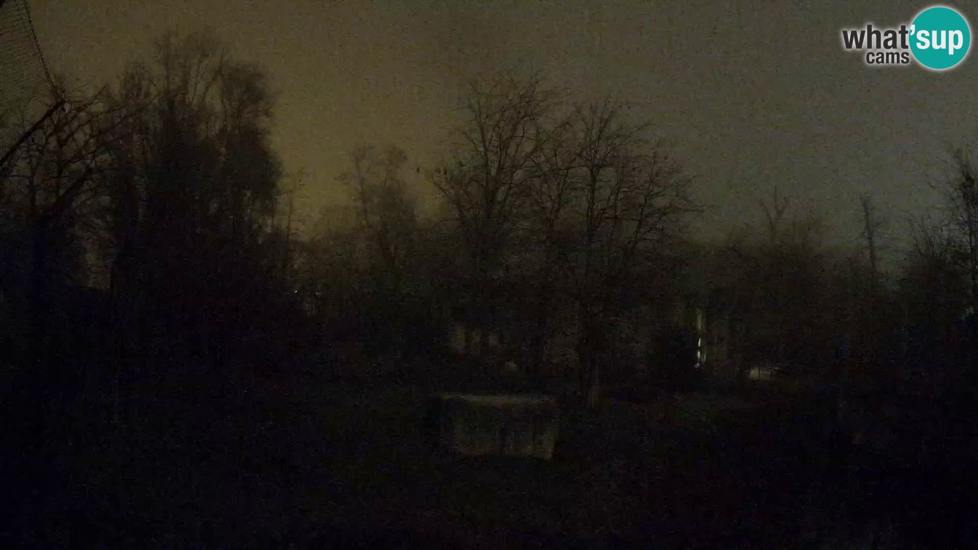 Spletna kamera Zoo Zagreb – Levi