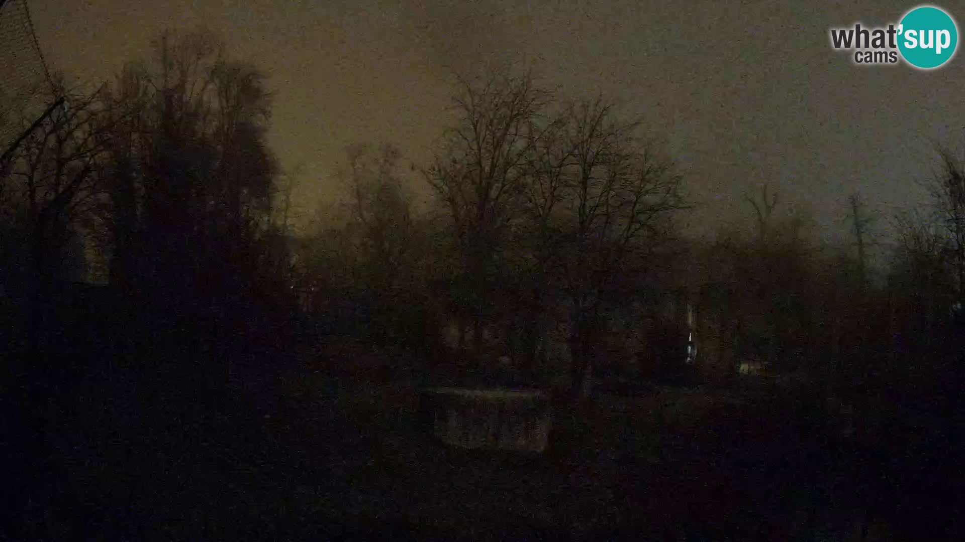 Spletna kamera Zoo Zagreb – Levi