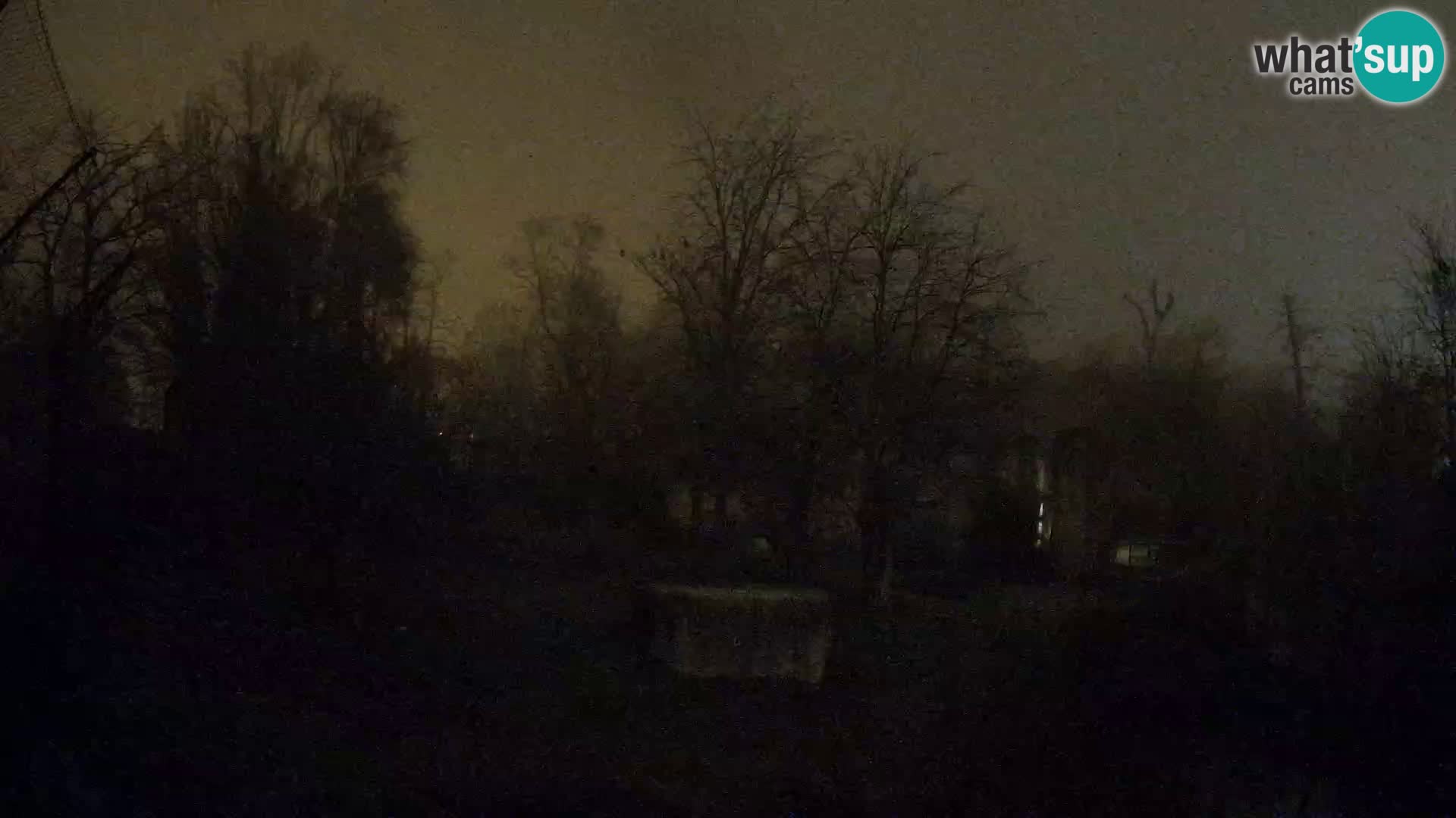 Zoo Zagreb – Löwen