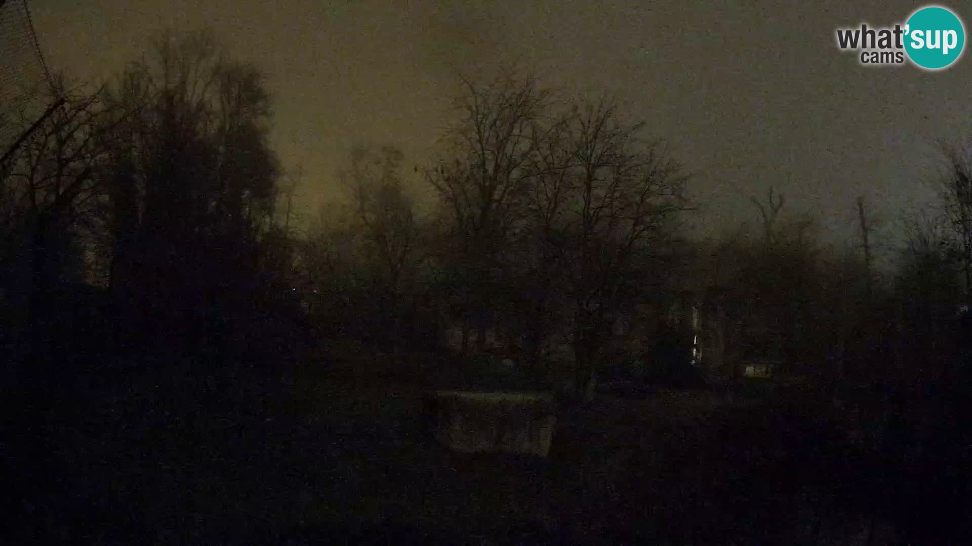 Zoo Zagreb – Leones