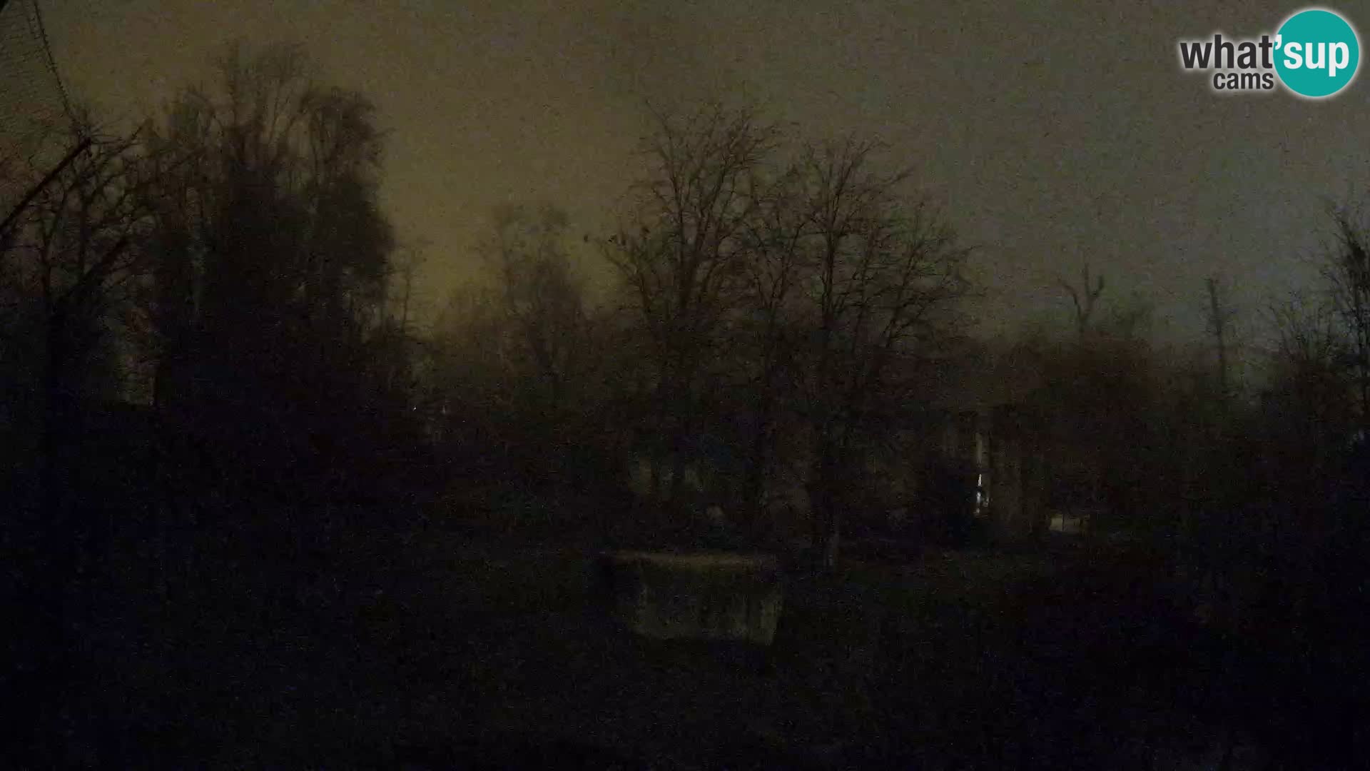 Zoo Zagreb – Löwen