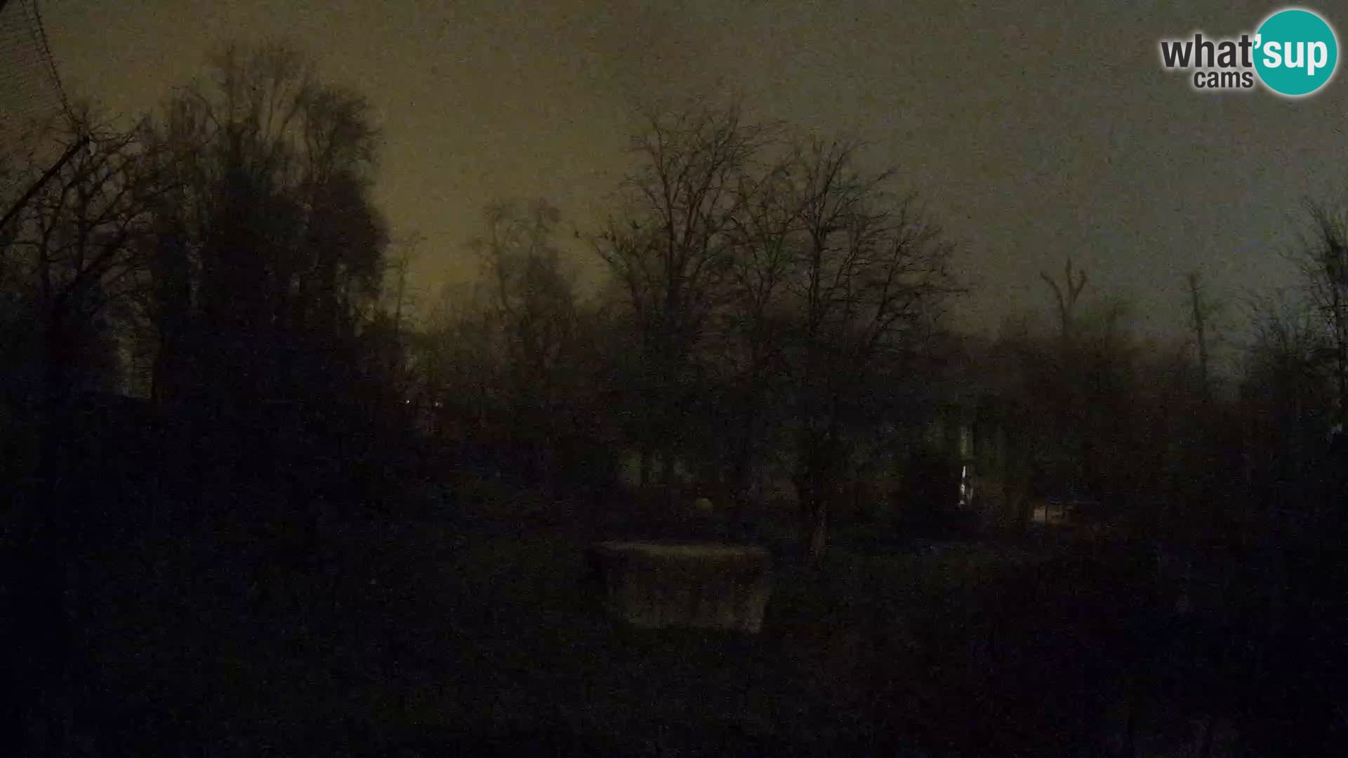 Zoo Zagreb – Löwen