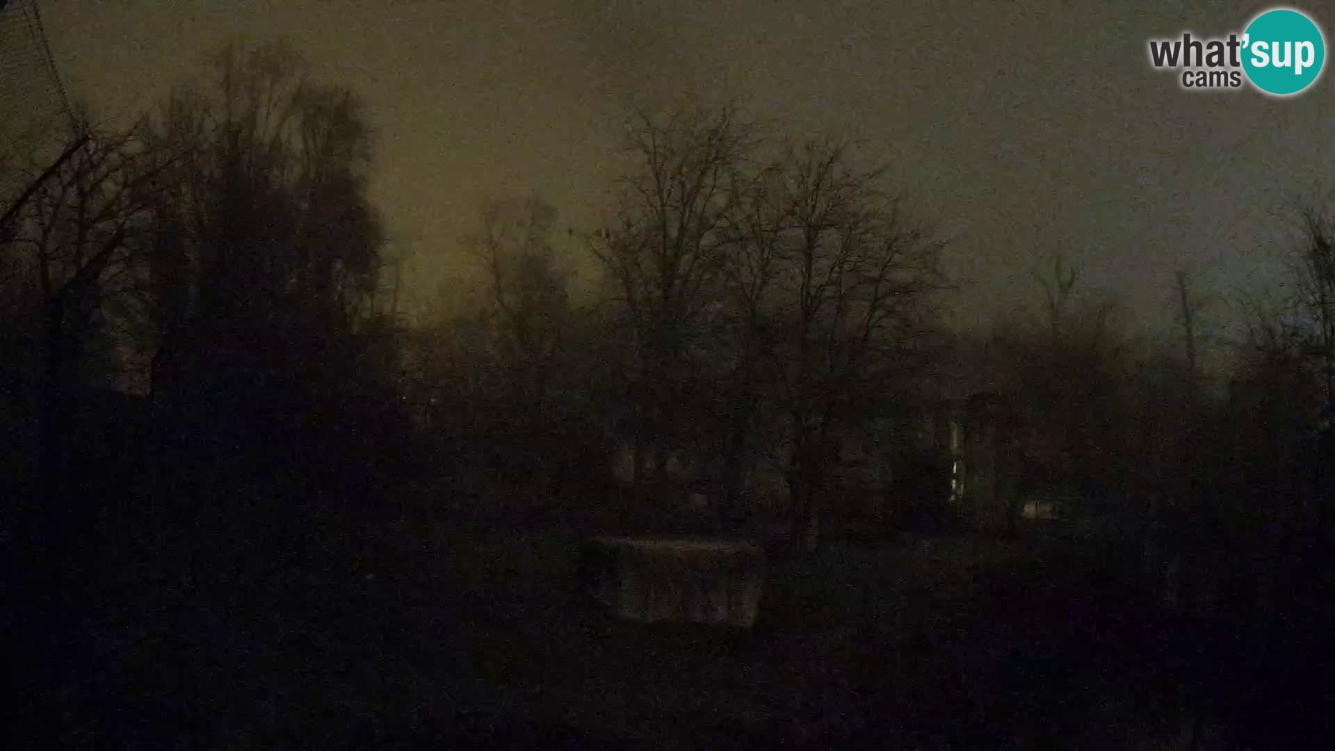 Zoo Zagreb – Lavovi